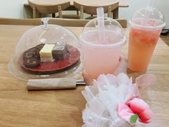 -滚猫咖啡·猫咖·猫友好撸猫(未来城店)