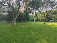 -后襄河公园