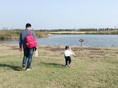 -春花秋色城市公园