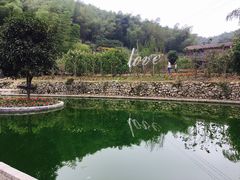 -宁波浙东大竹海景区