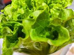 -古乐牛香·鲜牛肉牛杂火锅(吴江三里桥运东商业广场店)