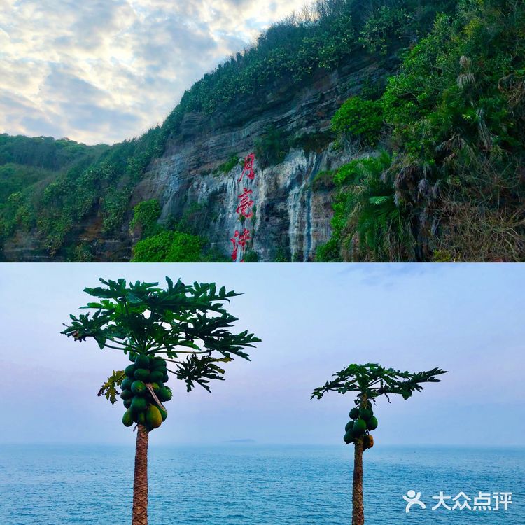 北海➕涠洲岛🌊最全旅游攻略‼️还可以看到鲸鱼🐳