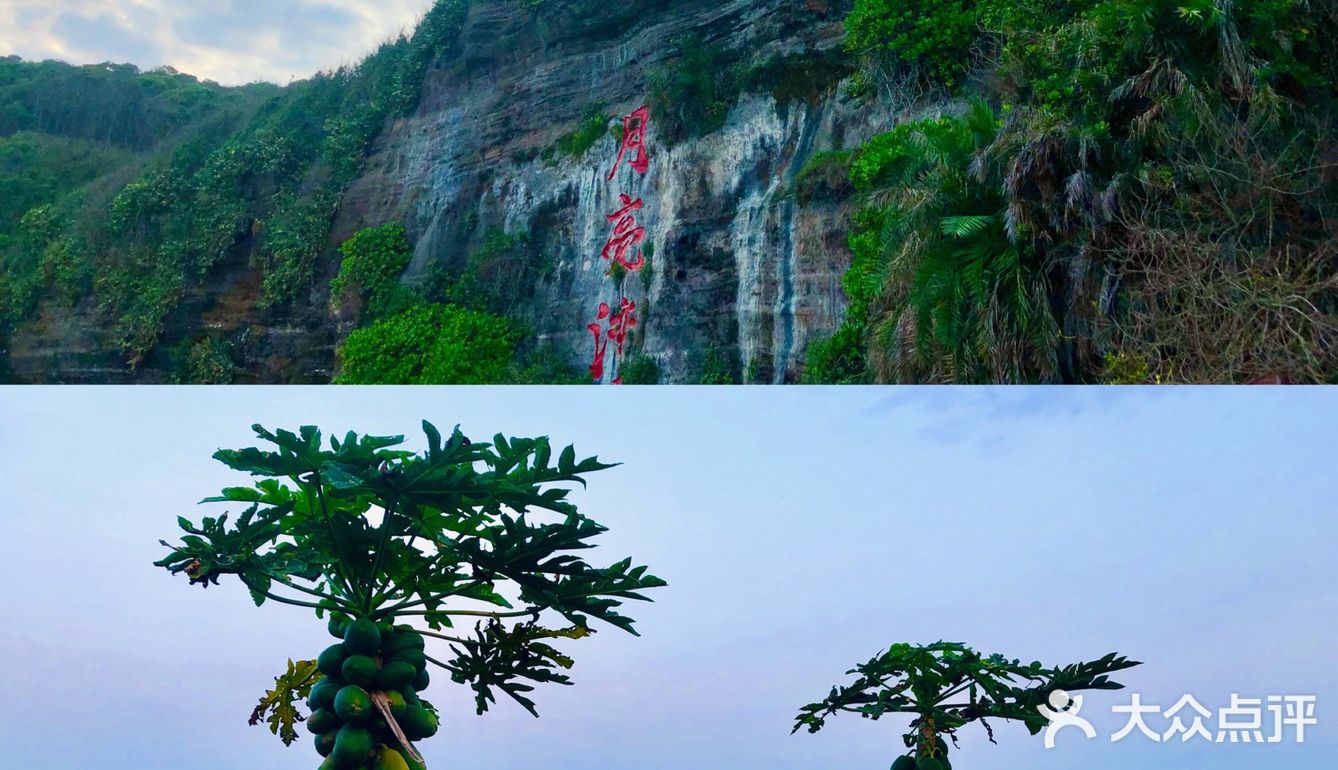 北海➕涠洲岛🌊最全旅游攻略‼️还可以看到鲸鱼🐳