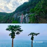 北海➕涠洲岛🌊最全旅游攻略‼️还可以看到鲸鱼🐳