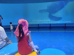 -广东惠东海龟国家级自然保护区