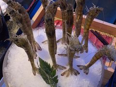 -王家渡火锅店(棕榈泉店)