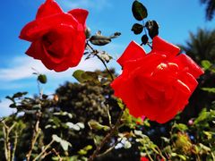 -文华公园(禅城区)