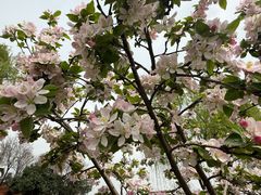 -洨河生态公园