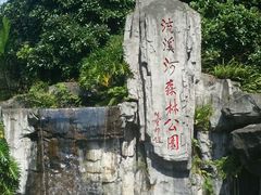-广州市流溪河国家森林公园