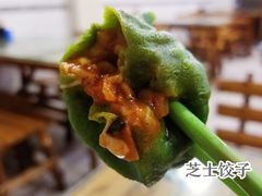 芝士饺子-宝源饺子(麦子店街店)