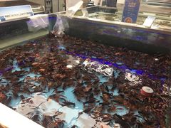 -盒马鲜生(宝地店)