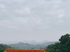 -深圳仙湖植物园