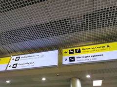 -谢列梅捷沃国际机场