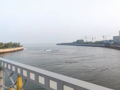 -星光岛