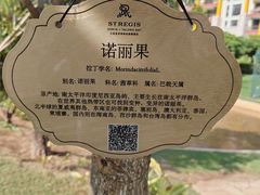-三亚亚龙湾瑞吉度假酒店