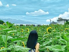 -云禾壹海景庄园餐厅
