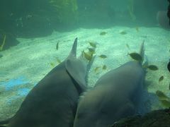 -常州海昌海洋探索馆