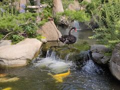 -罗红摄影艺术馆