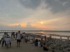 -宝安西湾红树林湿地公园