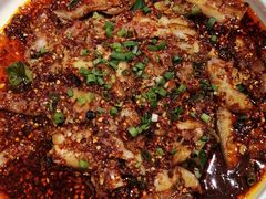 折耳根拌拱嘴-有红鸡毛店·川菜(建设路店)