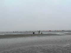 -启东黄金海滩景区