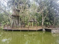 -海南热带野生动植物园