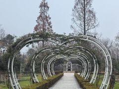 -昆山城市生态森林公园