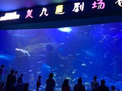 -多彩贵州城极地海洋世界