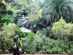 -深圳仙湖植物园-停车场