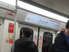 -大龙山(地铁站)