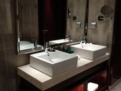 -常州环球恐龙城维景国际大酒店