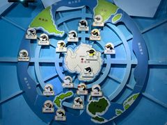 -海合安武汉极地海洋公园