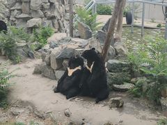 -天津市动物园