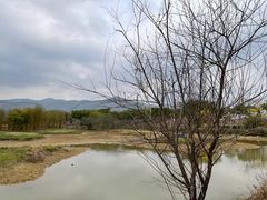 -天适樱花悠乐园