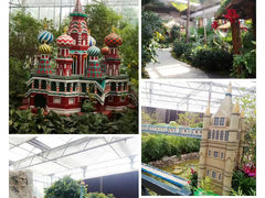 -南宫五洲植物乐园