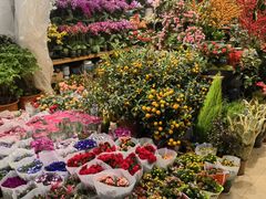 -双季花艺园艺市场(浦东店)
