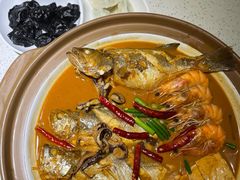 鲜鱼一锅出-船歌·鱼水饺青岛菜(金狮广场店)