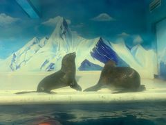 -成都浩海立方海洋公园