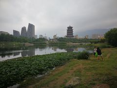 -门城湖公园