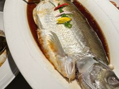 清蒸白水鱼-醉庐·新上海菜(南京西路店)