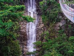 -九龙江国家森林公园