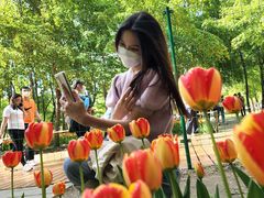 -长春公园(普阳街道)