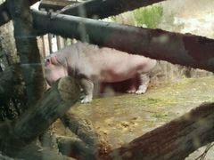 -新疆天山野生动物园