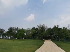 -盘龙城国家考古遗址公园