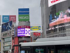 -涩谷全向十字路口