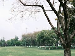 -重庆中央公园(渝北区)