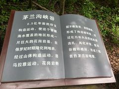 -茅兰沟国家森林公园