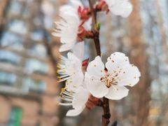 -御仙都北京菜馆·烤鸭店(双井店)