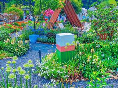 -深圳市中科院仙湖植物园