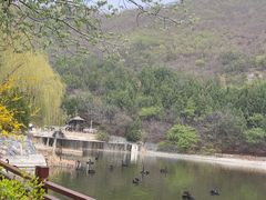 -静之湖度假区